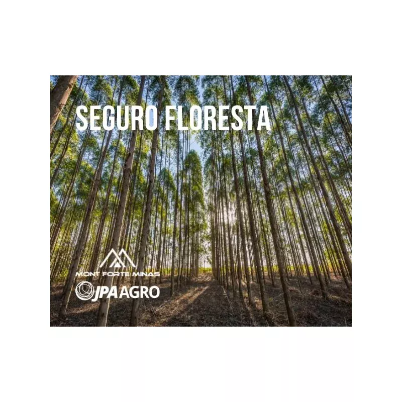 Seguros Floresta - Imagem 2