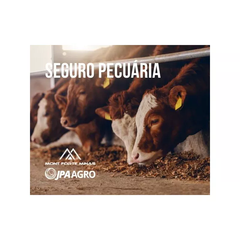 Seguro Pecuária - Imagem 2