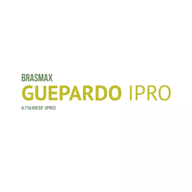 BMX Guepardo IPRO