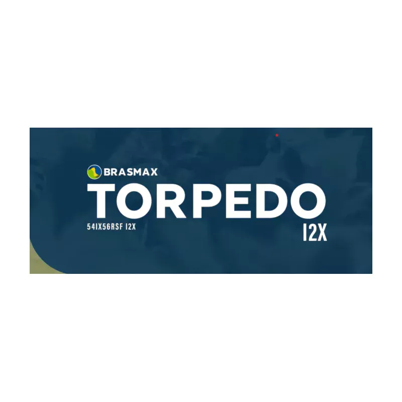 BMX Torpedo I2X