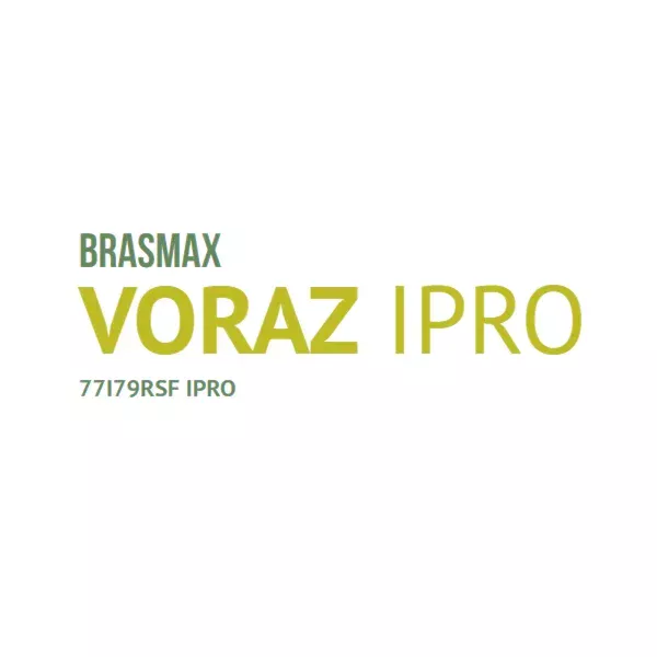 BMX Voraz IPRO