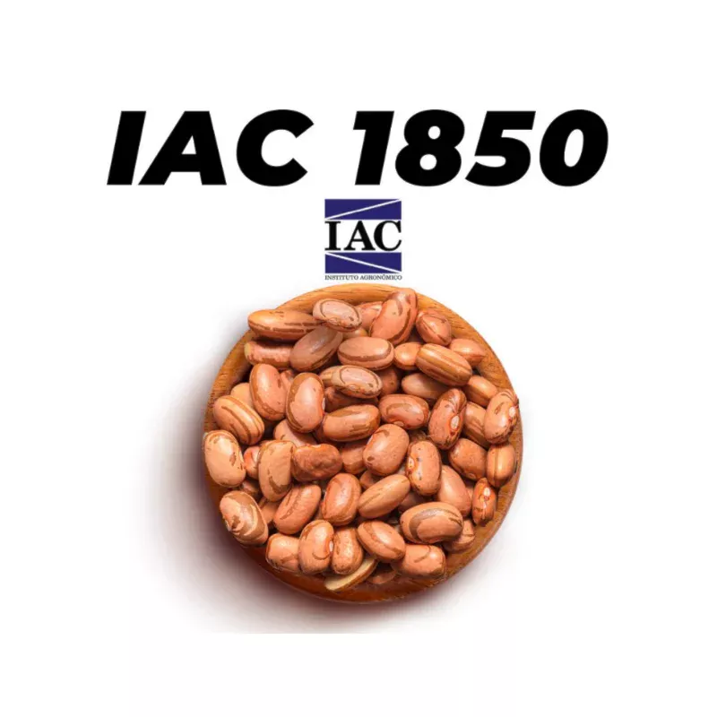 IAC 1850