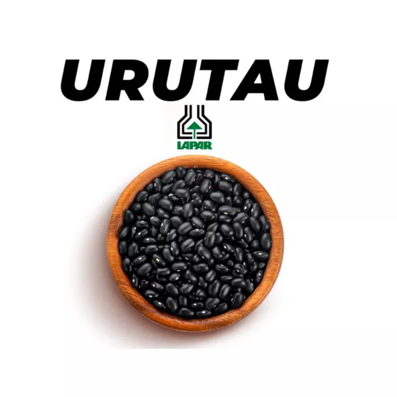 IPR URUTAU