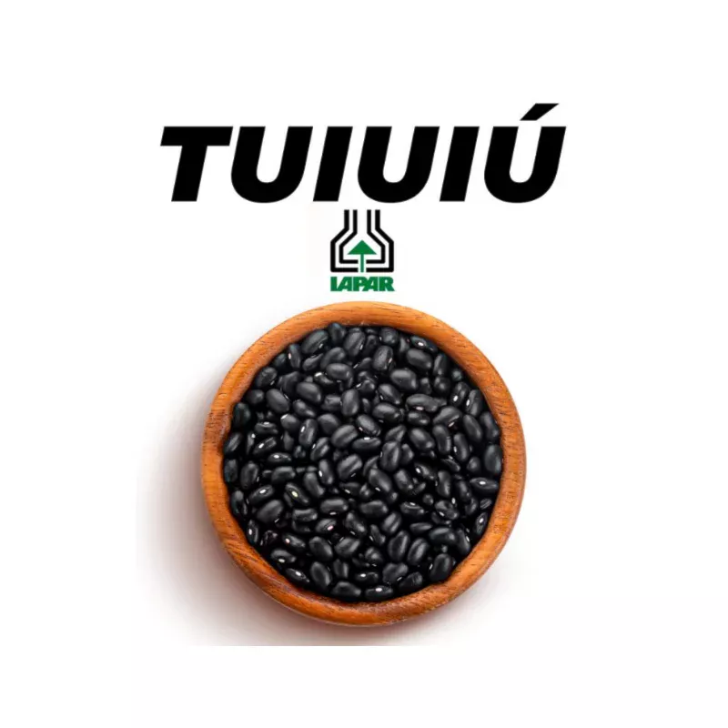 IPR CAMPOS TUIUIÚ