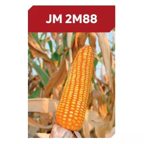 JM 2M88