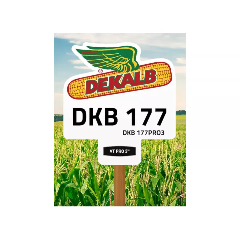 DKB 177