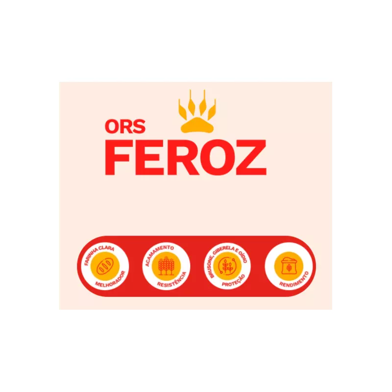 ORS FEROZ